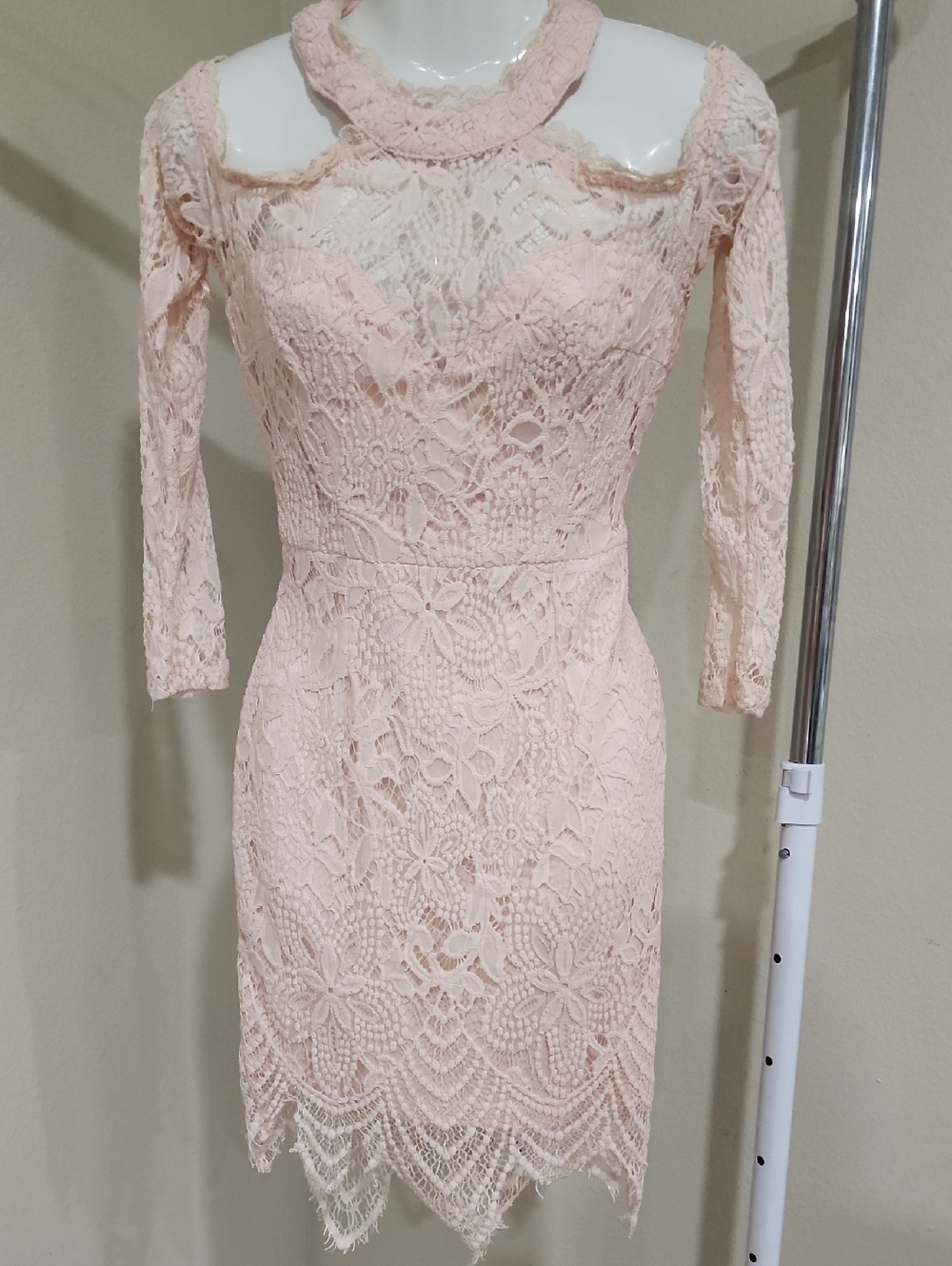 Chic Long Sleeve Lace Dress in Soft Pink